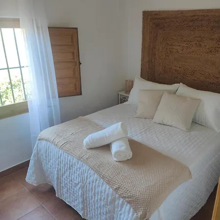 Olivar 30