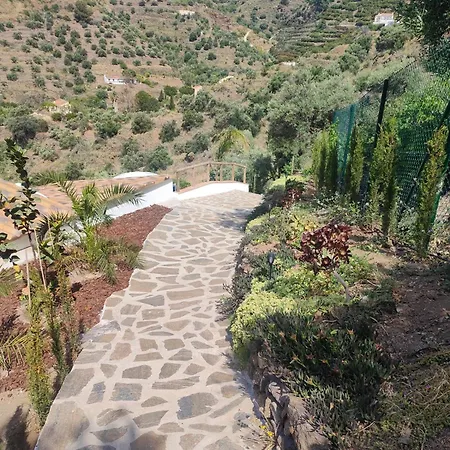 Olivar 30 *