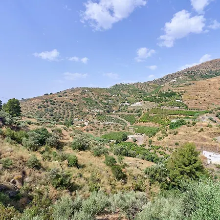 Olivar 30 *